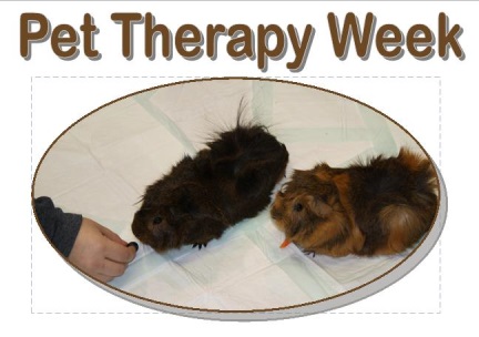 Pet Therapy Week